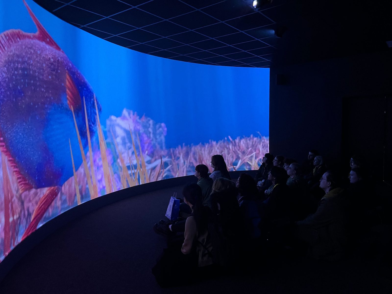 Visitors seated before a curved immersive screen as a giant fish swims through a coral landscape