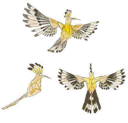 Concept drawings of the origami hoopoe
