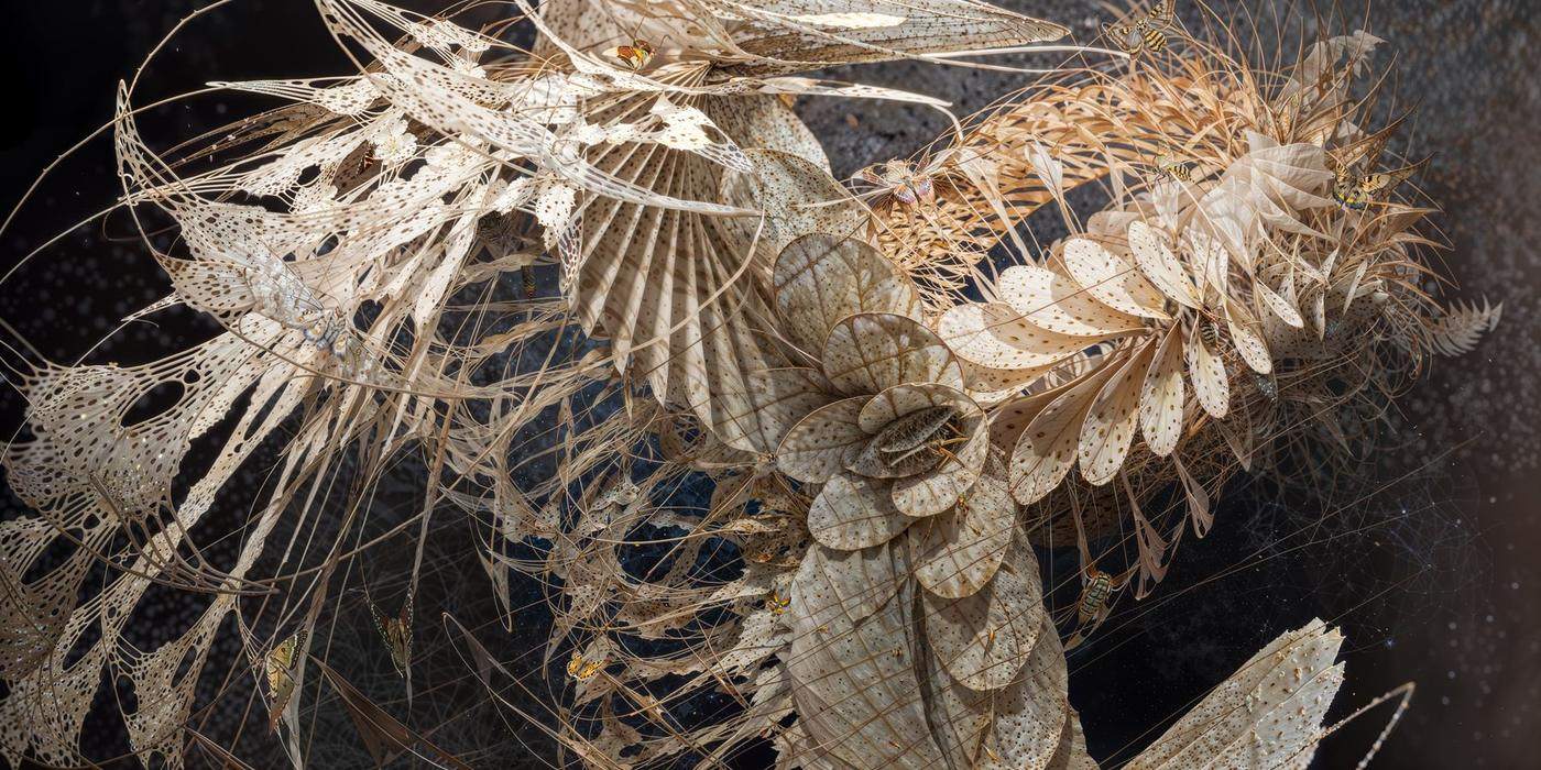 The Death of the Moth I, digital artwork by Alice Labourel